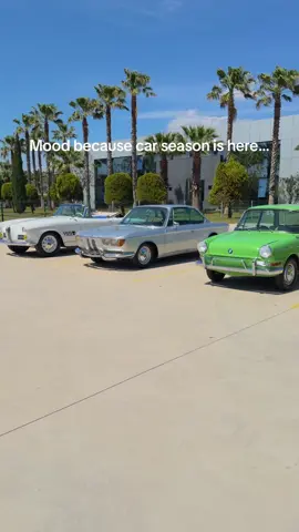 A post by @bmw on TikTok caption: Car season is SO back! #BMWClassic #BMWlove #carsoftiktok #fyp