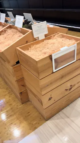 A post by @officialhowiemandel on TikTok caption: #hay #shopping 