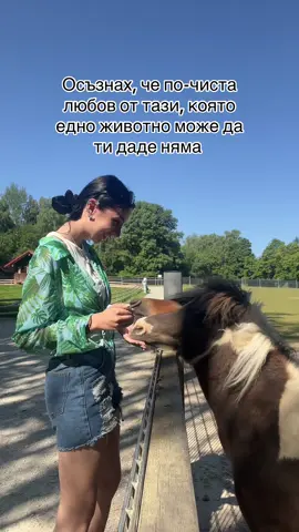 A post by @ on TikTok caption: Вижте ги, колко са прекрасни🥹🐴 Цялата моя козметика и мърч, ще намерите в сайта alexcheto.com❤️ #foryoupage #alexcheto1 #bulgaria #gremany #foryou #pony 