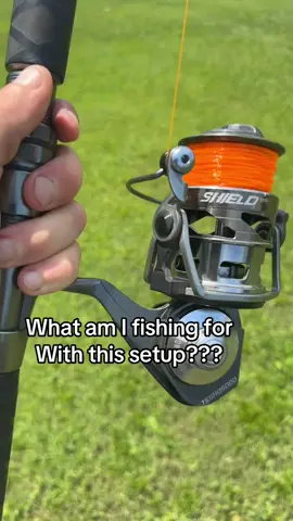 A post by @kody._kennedy on TikTok caption: What species am I targeting with this setup? #fishing #fishinglife #riverlife #fishinggear #fishingaddict 