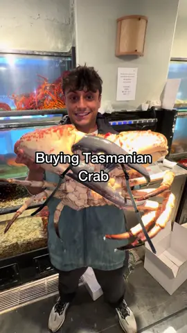 A post by @nick_kratka on TikTok caption: World’s Biggest Crab #crab #seafood #seafoodlover 