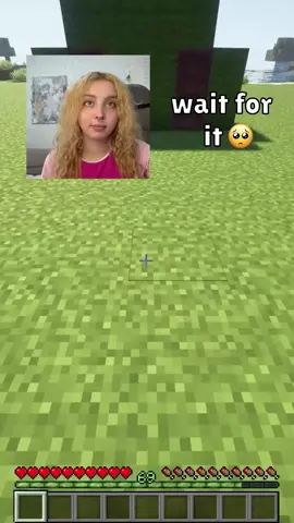 A post by @lucky.maker on TikTok caption: House for Lirilis 🐘🥺🐘#minecraft