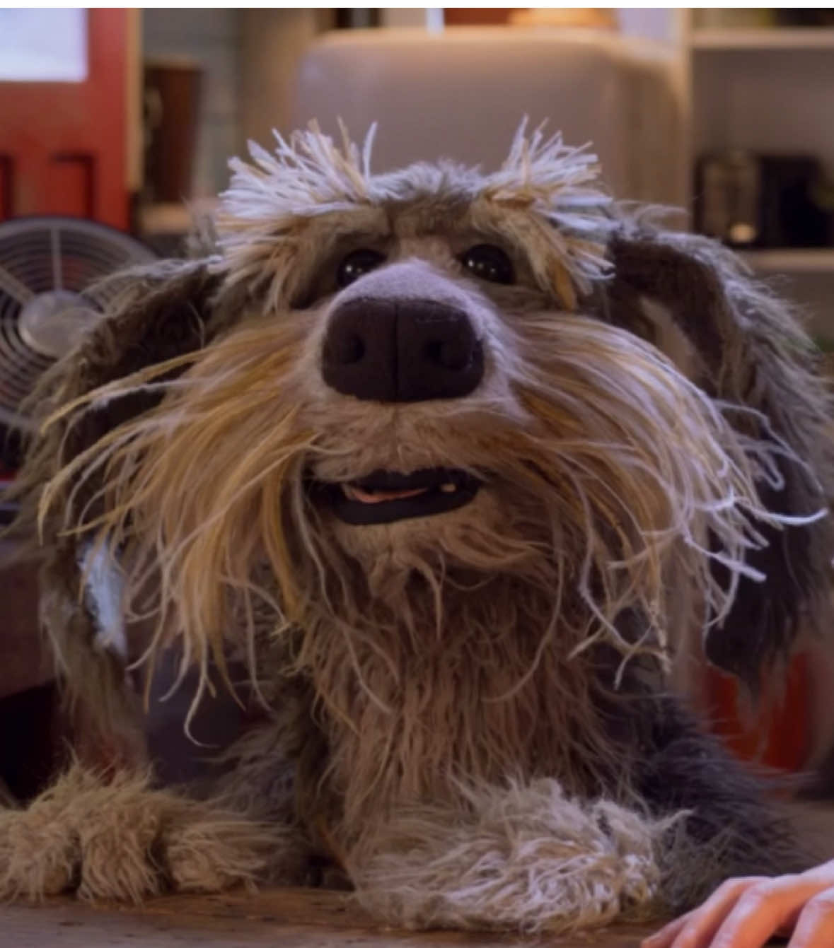 A post by @jimhensoncompany on TikTok caption: Sprocket is always on alert 👀 #sprocket #fragglerock #fragglerockbacktotherock #jimhenson #puppet #trend #dogsoftiktok #funny #petlover #funnydogvideos #animals #dog 