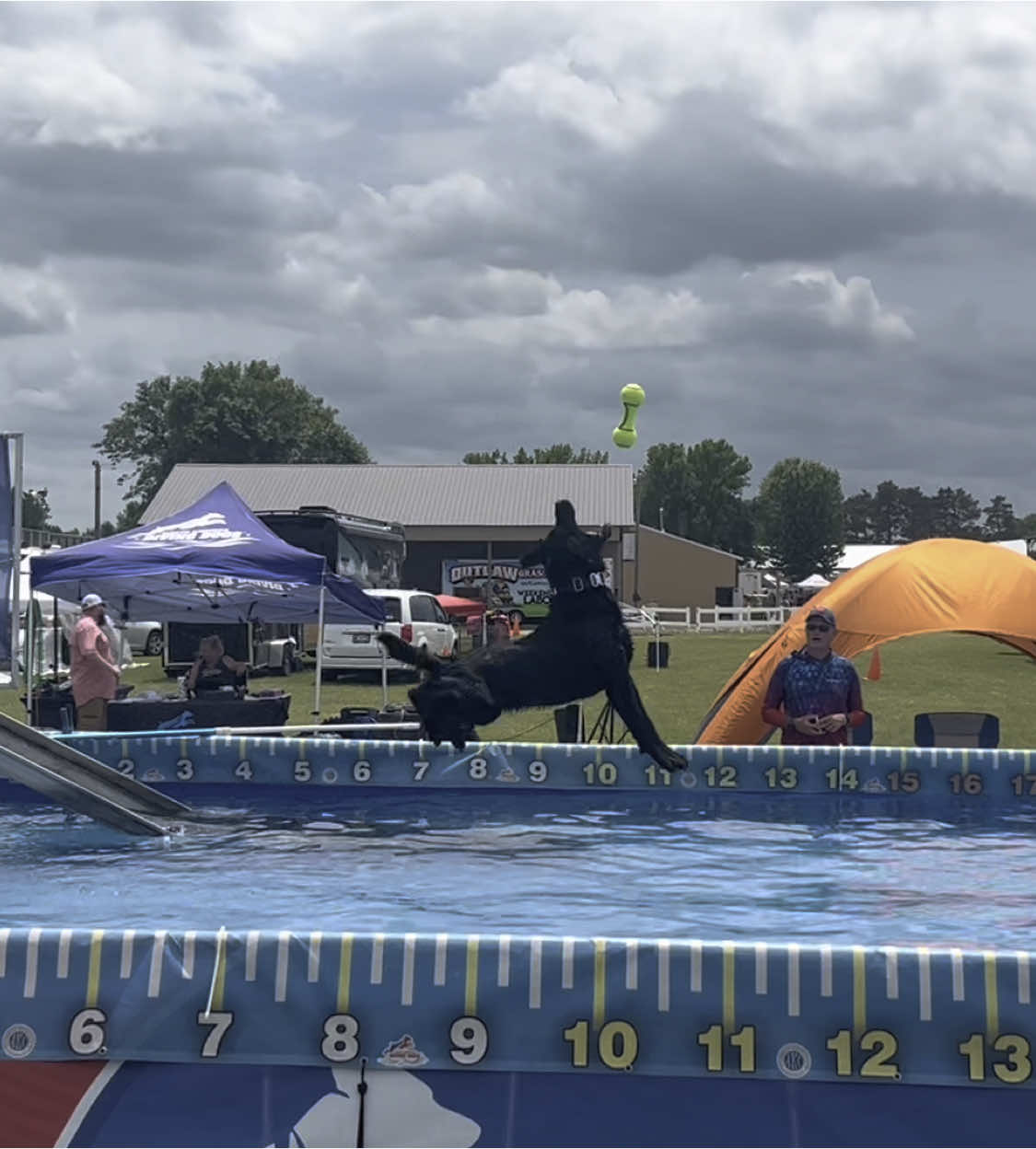 A post by @servicedog626 on TikTok caption: 2 dogs, 1 dock, hours of fun! #dockdiving #labradorretriever #blacklab #standardpoodle #poodle #nadd #akc #sportdog #dogsports #summersolctice 