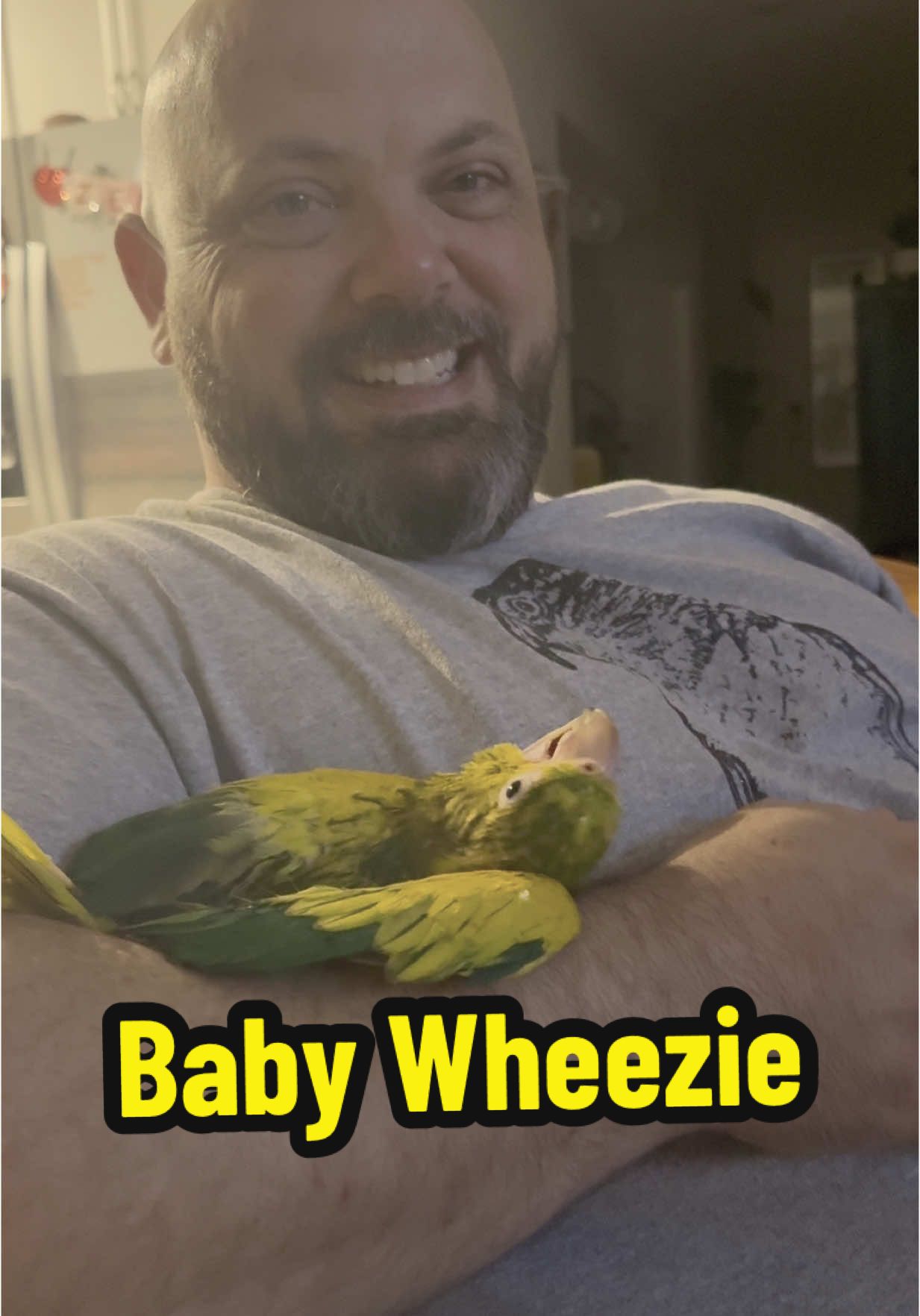 A post by @blueplanetpets on TikTok caption: A moment with baby Wheezie #parrot #goldenconure #queenofbavaria #conure #pets #petbird #birds 