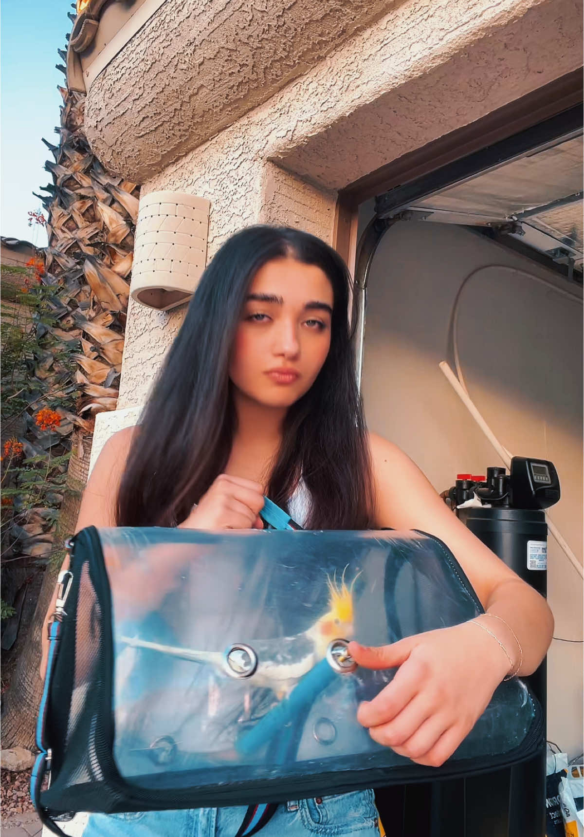 A post by @lala_sadii on TikTok caption: I would never treat you this bad…why?! 
