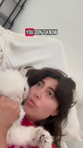 A post by @shiadanni on TikTok caption: I love dimitri too much 