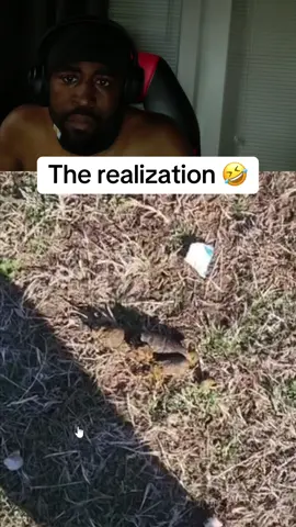 A post by @hoodmeals on TikTok caption: We boxing after this fosho🤦🏿‍♂️🤣#fyp