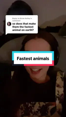 A post by @soundoftheforest on TikTok caption: Replying to @Brian Kelley this is making me crave roller coasters. #autisticadult #autism #autistic 