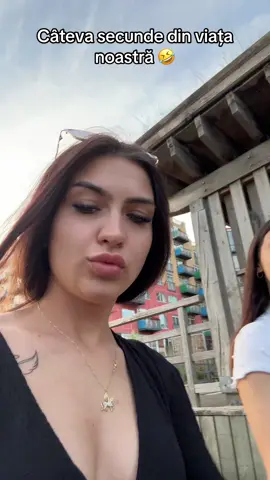 A post by @carmenelenamc on TikTok caption: @denisanicoleta0413 