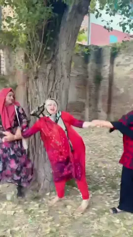 A post by @amrinislam5 on TikTok