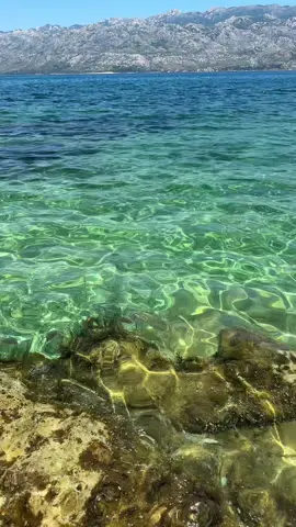 A post by @kiki_ajmo on TikTok caption: Gemeinsames Kochen – Probelauf am 26.06. Am 26. Juni findet der erste Probelauf für ein gemeinsames Kochen statt. Insgesamt gibt es zehn Plätze, von denen bereits vier vergeben sind. Ort: Der Kochabend findet 20 Minuten mit dem Auto von Zadar entfernt statt – in einem ruhigen Garten, ganz ohne andere Menschen, mitten in der Natur. Ablauf: Wir starten zwischen 15 und 16 Uhr. Zum Ankommen gibt es einen Begrüßungsdrink, damit wir uns alle erstmal kennenlernen. Anschließend beginnen wir gemütlich mit dem Kochen. Das Hauptthema an diesem Tag: Fisch – frisch vom Fischer, den ich am Donnerstagmorgen besuche. Was genau zubereitet wird, hängt davon ab, was der Fang hergibt. Geplant ist: 	•	1–3 Vorspeisen 	•	Hauptgericht mit Fisch 	•	ein Dessert zum Abschluss Getränke: 	•	Wein aus Zadar 	•	Wasser 	•	Selbstgemachter Feigenblatt-Sirup mit Wasser gemischt 	•	Ein paar Dosen Bier werde ich auch besorgen Kosten: Der Unkostenbeitrag beträgt 60 Euro – zur Deckung von Lebensmitteln, Getränken und Platzmiete. Wenn du darüber hinaus etwas beitragen möchtest, gerne – ist aber kein Muss. Es ist ein erster Probelauf, um alles einmal zu testen. Auch der nächste Termin wird noch ein Testlauf sein, bevor die regulären Sessions zu einem später festgelegten Preis starten. Wenn du Interesse hast oder Fragen, schreib mir einfach eine Nachricht!