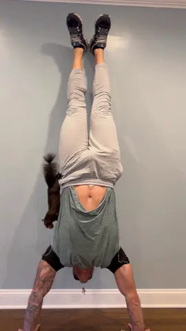 A post by @peanut_the_squirrel12 on TikTok caption: We will get JUSTICE! LAWSUITS COMING THIS WEEK #fyp #video #viral #fypp #insta #animal #pet #squirrel #foryou #foryoupage