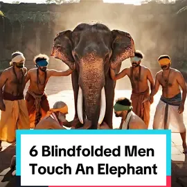 A post by @nasdaily on TikTok caption: 6 blindfolded men touch an elephant.  One of my favorite stories. I hope it resonates with you. see you tomorrow for Day 7!  @AI School for Entrepreneurs 