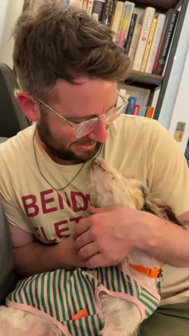 A post by @simonsits on TikTok caption: I don’t know how Cheesecake can trust humans after what they’ve done to him, but I am grateful for it 🥺 @Muddy Paws Rescue @Animal Care Centers of NYC 
