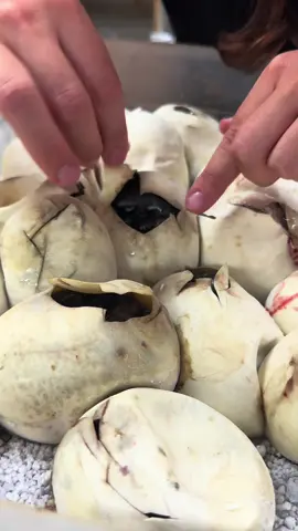 A post by @thereptilezoo on TikTok caption: Sleepy baby snakes🥰 Haha these babies are the cutest thing when they are born and they better get some rest because they’re about to experience the real world😅 With everything going on I wouldn’t blame them for wanting to go back inside the their egg😂