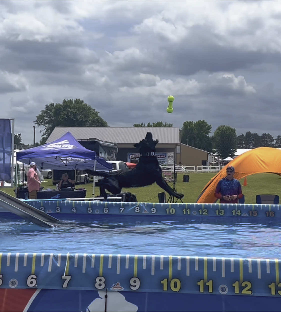 A post by @servicedog626 on TikTok caption: I’m so proud of this boy! He did his first NADD dock diving event this weekend and not only that but reached his new personal best of 15.3’! #dockdiving #labradorretriever #blacklab #nadd #sportdog #dogsports #akc #labsoftiktok #dogsoftiktok 