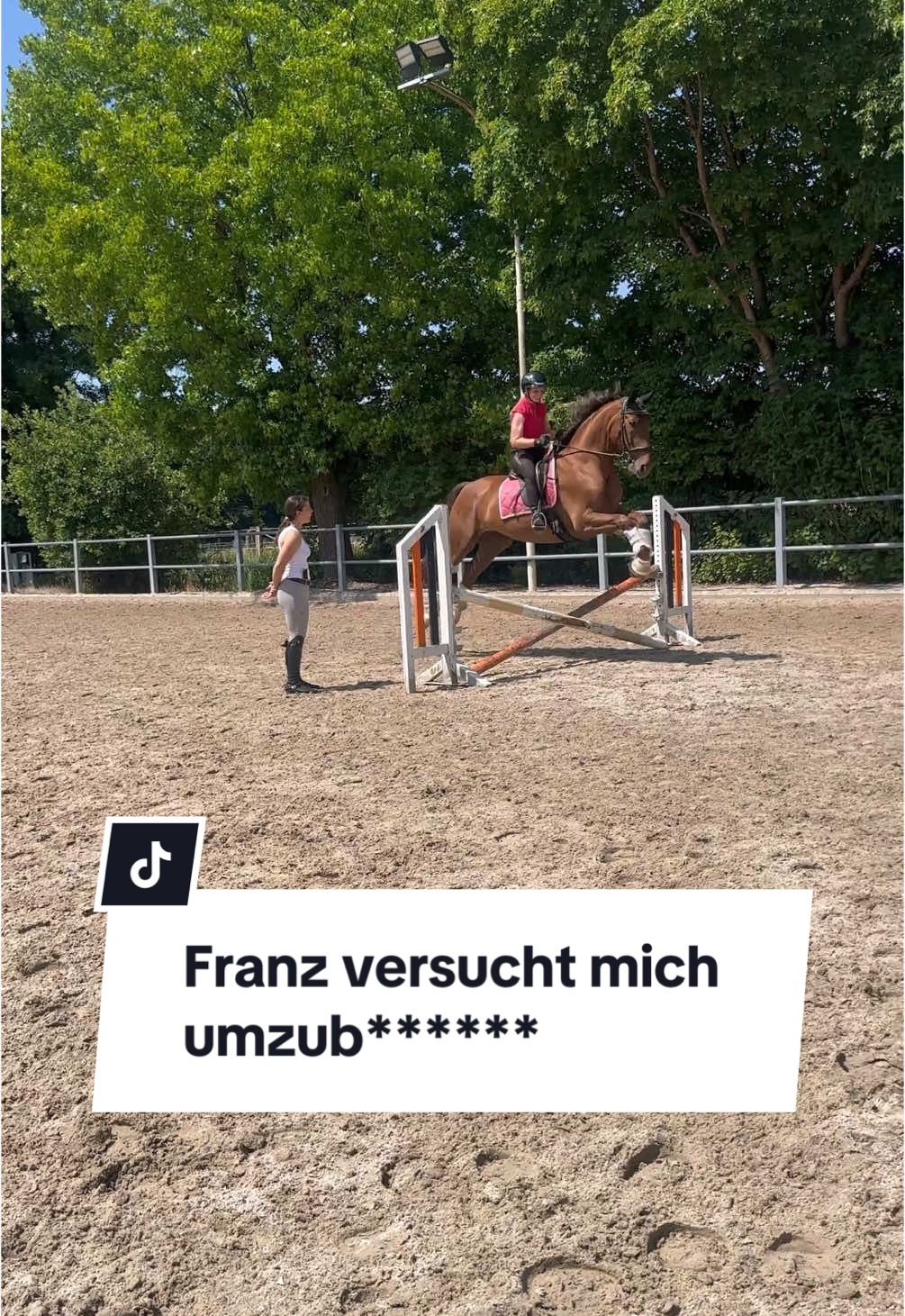 A post by @franziundfleur on TikTok caption: Franz on fire 🥲 Bin so stolz drauf wie wir das gemeistert haben, wir beide konnten gestern total viel lernen und sind noch mehr zusammengewachsen 🥹🫶🏻 Mein Bebiiii 😍😍 IG: franziskaelea  #springreiten #wiedereinsteigerreiter #dressurpferdspringt #franziundfleur #franziundfranz #franziskaelea #showjumping 