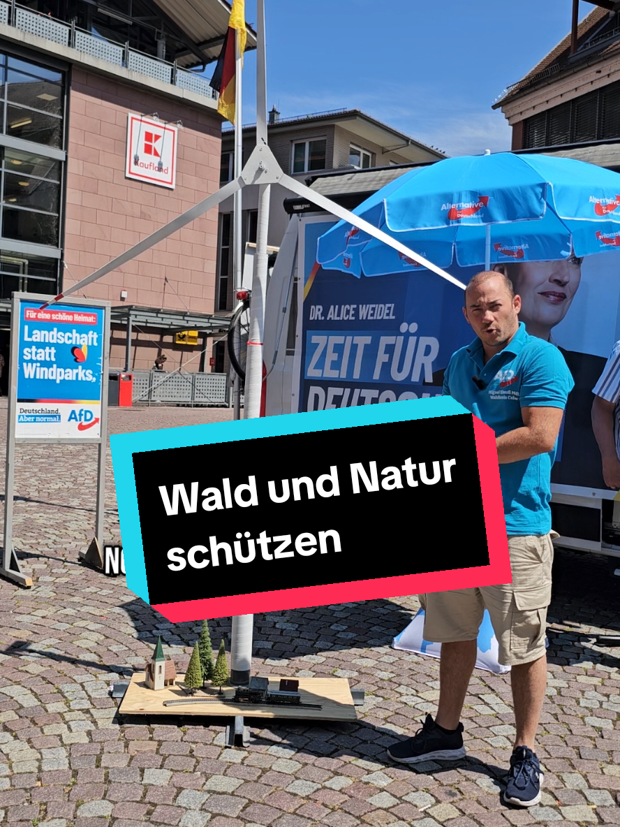A post by @miguel_klauss on TikTok caption: #AfD #badenwürttemberg #Calw #miguelklauss #deutschland #natur 