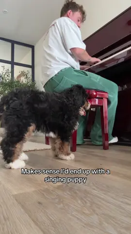 A post by @conormaynard on TikTok caption: It’s the first time he’s ever heard the piano.. he’s a natural