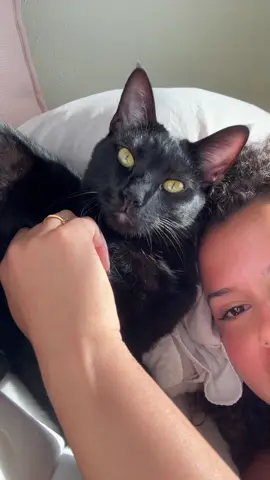 A post by @gabriella_saraivah on TikTok caption: love of my life