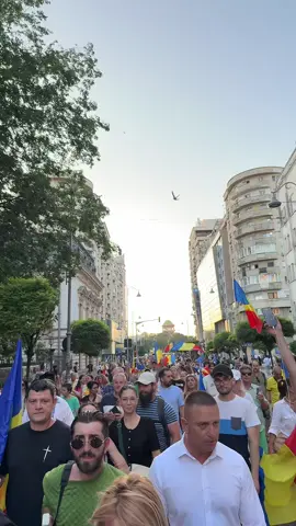 A post by @georgesimionoficial on TikTok