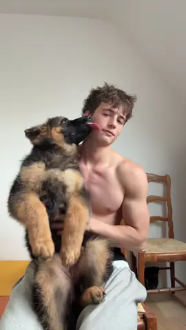 A post by @bachbuquen on TikTok caption: I love dogs 