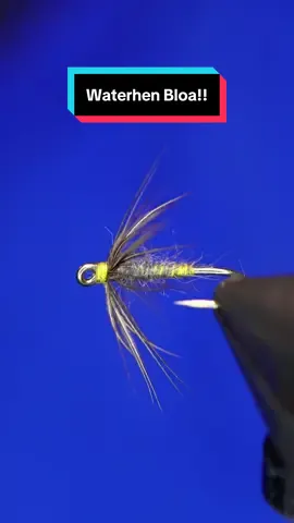 A post by @tiesflies on TikTok caption: The Waterhen Bloa: Hook: Ahrex LE810 size 12 Thread: Gossamers silk Body: Mole fur  Hackle: Waterhen  Tools: TheFlySmith  #TheFlySmith  #flytying #magpiematerials #magpieturkeybiots #magpiefinebeaverdubbing #whitingfarms #naturesspiritflytying #lidrig #fly #flytyingjunkie #flytyingtutorial #flytyingaddict #flytok #satisfying #flytyingnation #fyp #harelinedubbin  #fishing #flyfishing #pescamosca #Upavon #fullingmill #bespoke