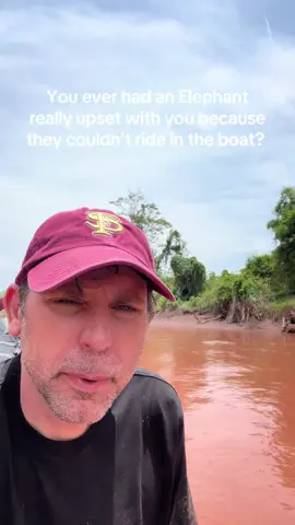 A post by @planting_peace on TikTok caption: Poor Ming just trying to have a Kate Winslet moment! -Aaron/Planting Peace 