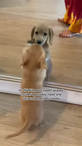 A post by @winston_da_ween on TikTok caption: #onthisday 