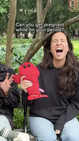 A post by @whatdoyoumeme on TikTok caption: Menstruation Crustacean lobster available NOW at @cvs #menstruationcrustacean