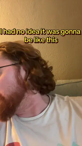 A post by @pearlmania500 on TikTok caption: We’re only six months in. You can’t turn back now. 