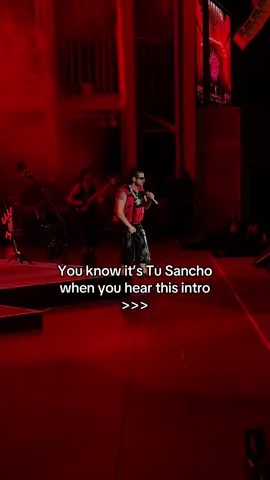 A post by @fuerzaregida on TikTok caption: Tu Sancho 👀🖤 #fuerzaregida #fyp 