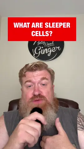 A post by @jolly_good_ginger on TikTok caption: There is an equal chance that this could just be propaganda by Iran to create panic in the streets as much as they may really be looking to activate sleeper cells. Fear and panic, however, does you no good because there isn’t anything, other than being vigilant, that you can do. I just think it is important that we consider how serious this threat could be - and he still did it anyways without exploring all alternative options.