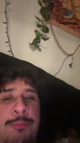 A post by @koda_steven on TikTok caption: Amaya Papaya gang