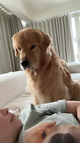 A post by @japanfriends on TikTok caption: วันนี้แป้นเพิ่งตื่น #จุ๊มเหม่งมีอะไร 