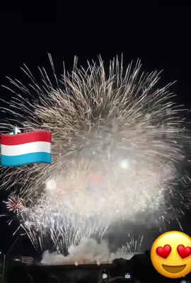 A post by @diarisow12 on TikTok caption: Capcut #fete #tikok#national