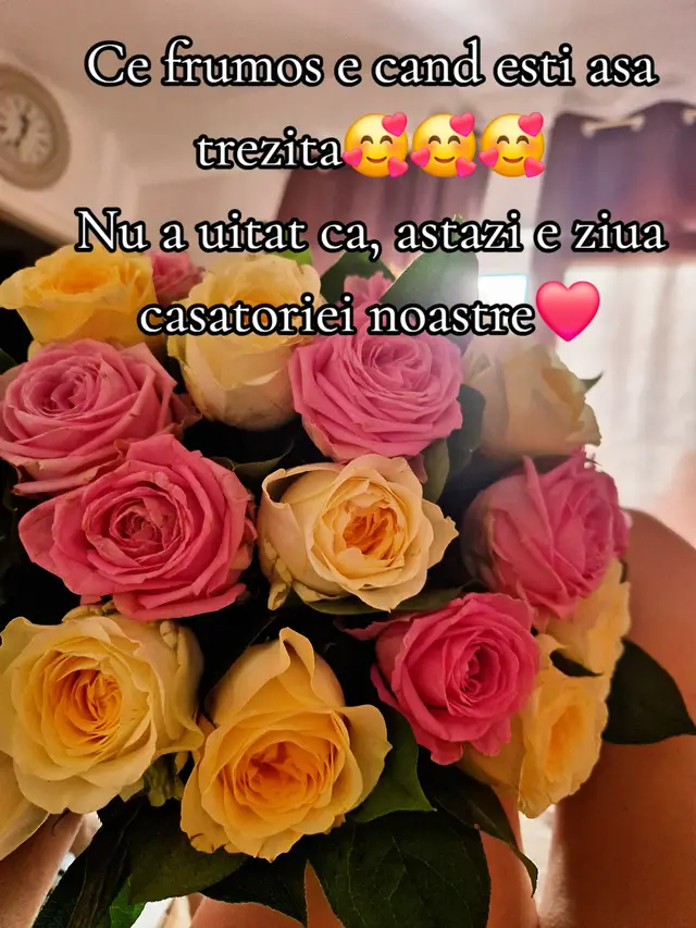 A post by @cecilia.siegert on TikTok caption: #Cecil🇩🇪🇹🇩 #foryou #fypシ #100k #viral #foryoupage #viralvideotiktok #tiktok 