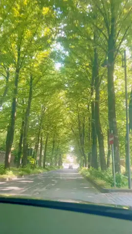 A post by @mr_swapono69 on TikTok