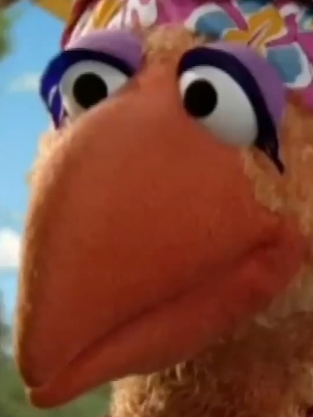 A post by @sesamestreet on TikTok caption: See how cute and tiny Big Bird was as a baby. 🐥