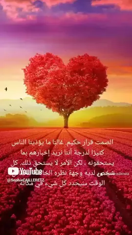 A post by @sophiecailleretz on TikTok