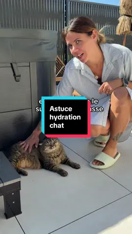 A post by @jimmy_laura_astuces on TikTok caption: L’astuce pour un chat toujours bien hydraté avec les sachets Hydra Care 🐈  Publicité @purina Disponibles chez les vétérinaires, en animalerie ou les sites marchands ou clique simplement sur notre lien en bio 🔗  #astuce #chat #purina #hydracare 