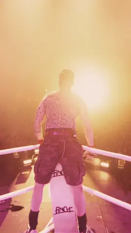A post by @finch_offiziell on TikTok caption: Danke Geiselwind 😍😍😍 #finchassozial #fy 