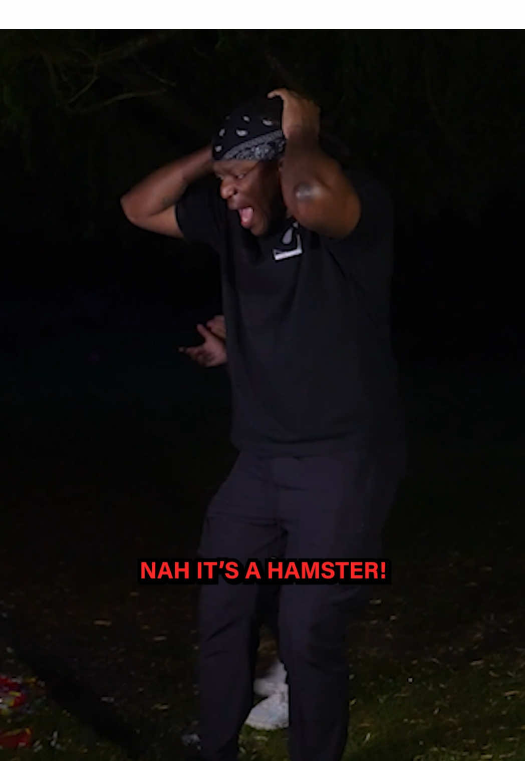 A post by @sidemen on TikTok caption: RIP Neo 🪦🐹 #sidemen #sidemensunday 