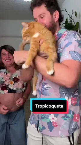 A post by @los_chicaneros on TikTok caption: Los gatos de la familia tropicoqueta