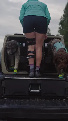 A post by @ruffweardogs on TikTok caption: We love seeing Gloria and her pups Alberto & Shakira rocking their Ruffwear gear on some amazing gravel bike adventures 🌼🚴‍♀️  #ruffwear #dogbiking #springadventures #trailbuddies #grateful 