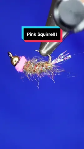 A post by @tiesflies on TikTok caption: The pink squirrel, developed by John Bethke of Westby, Wisconsin in the early 2000s. Hook: Ahrex FW541 size 14  Thread: TheFlySmith 14/0 traditional waxed  Rib: TheFlySmith 0.2mm wire  Tail: Crystal flash Body: squirrel, amber antron, and olive ice dubbing mixed.  Bead: Saluda beads  Thorax: Fulling mill suede chenille  Resin: uv craft  Tools: TheFlySmith  #TheFlySmith  #flytying #magpiematerials #magpieturkeybiots #magpiefinebeaverdubbing #whitingfarms #naturesspiritflytying #lidrig #fly #flytyingjunkie #flytyingtutorial #flytyingaddict #flytok #satisfying #flytyingnation #fyp #harelinedubbin  #fishing #flyfishing #pescamosca #Upavon #fullingmill #bespoke
