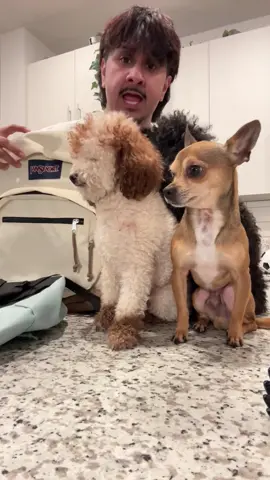 A post by @kodasteven on TikTok caption: I’m taking the dogs to their grandparents with @JanSport and packing some of my goods #JanSportPartner #AlwaysWithYou 