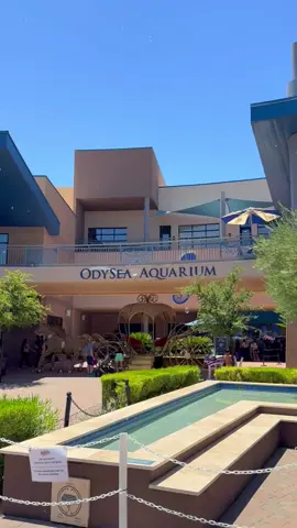 A post by @btypep on TikTok caption: If your looking for something to do check out the Phoenix boardwalk. It’s definitely geared for those with kids but non the less still entertaining. 