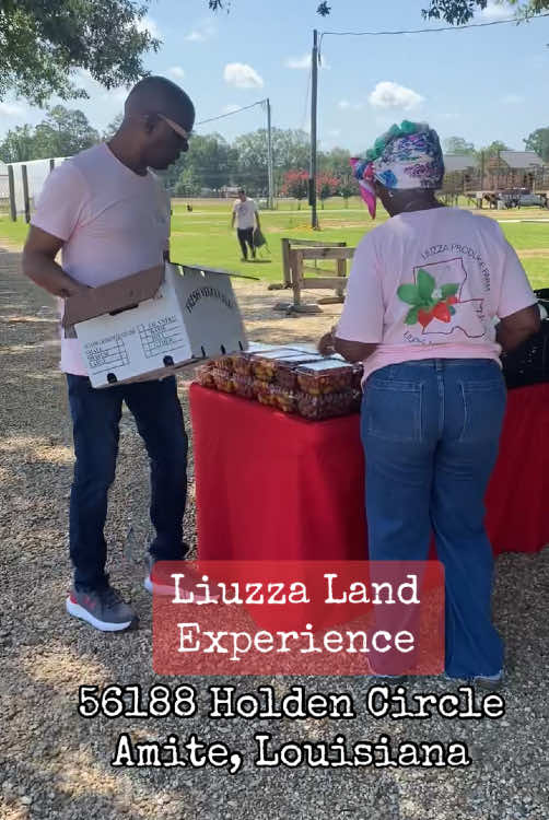 A post by @badgirlriri504 on TikTok caption: This past Saturday morning date was perfect for us @liuzzaland 🌞 We filled an entire box of fresh vegetables for only $25! This was our first time doing something like this together—and it felt so special. #datinginmarriage #liuzzafamilyfarm #fyp 